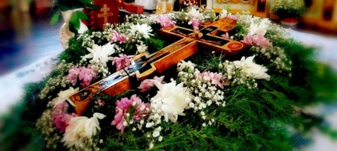 ЖИВОТВОРЯЩЕ ДРЕВО ЖИВОТВОРЯЩЕ ДРЕВО